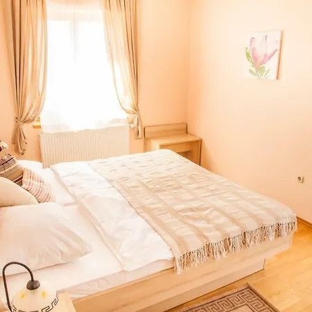 Villa Alma Višnjan